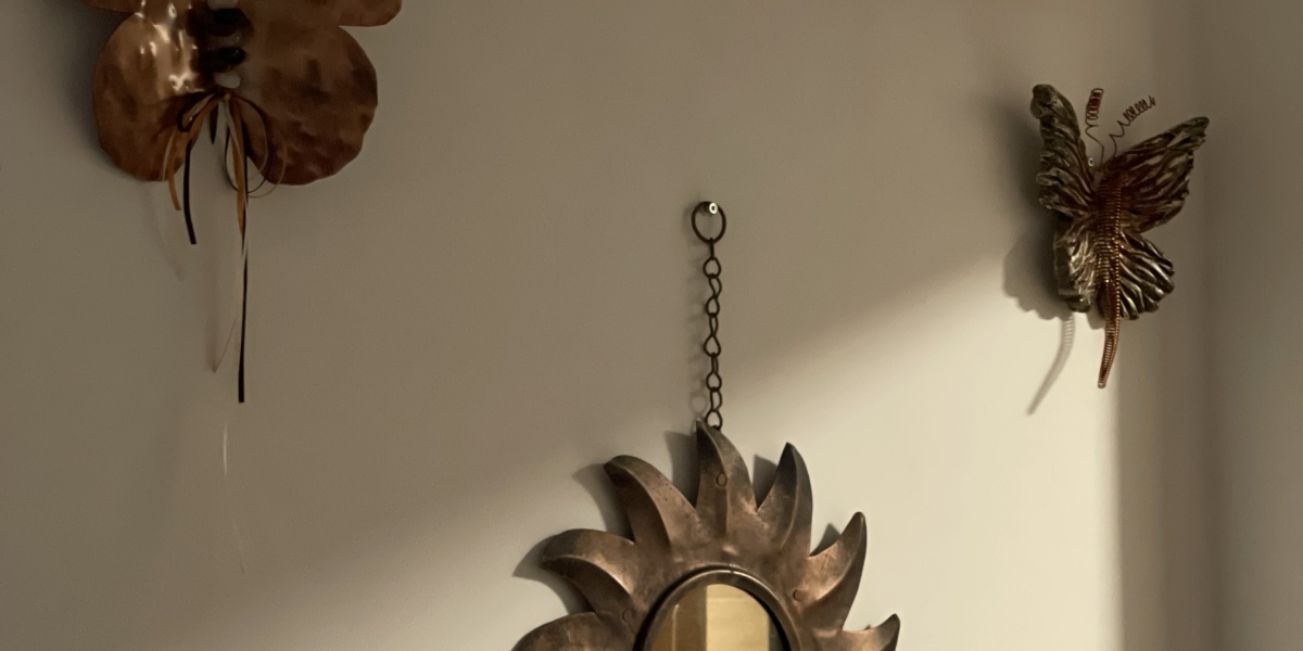 Casă de vacanță cu șemineu în județul Arad